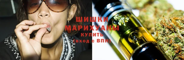 молекула духа Бородино
