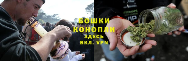 шишки Верхний Тагил