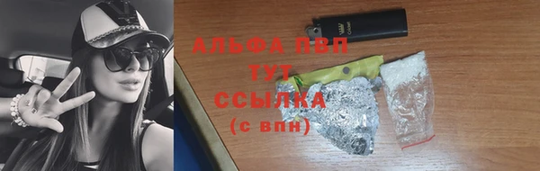 шишки Верхний Тагил