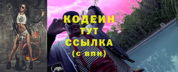 молекула духа Бородино