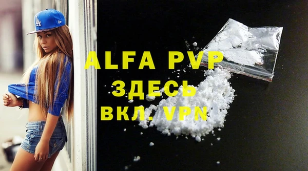 молекула духа Бородино