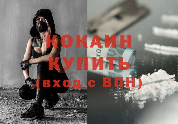 шишки Верхний Тагил