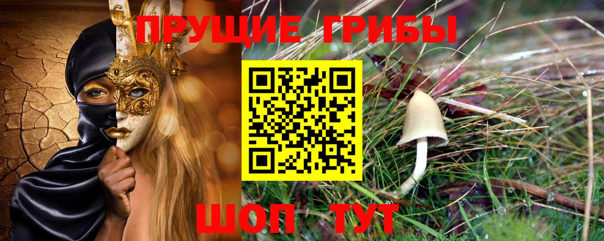 Галлюциногенные грибы Psilocybe  Псилоцибиновые грибы Psilocybe  закладки  Вольск 