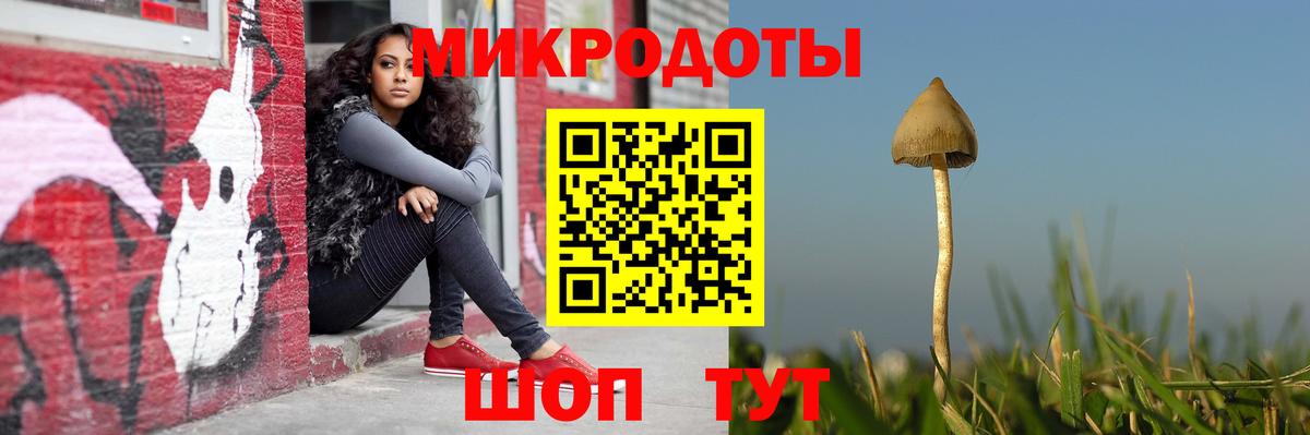 Галлюциногенные грибы MAGIC MUSHROOMS Вольск